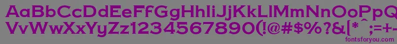 CopperPennyDtp Font – Purple Fonts on Gray Background