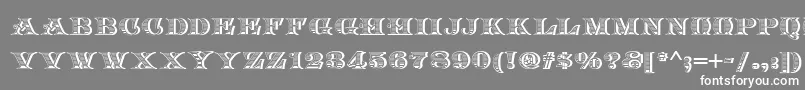 Arkadia Font – White Fonts on Gray Background