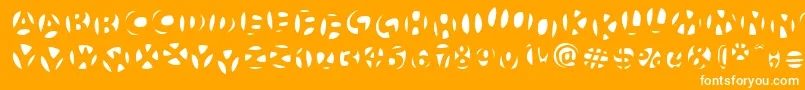 FrutigerstonesNegativ-Schriftart – Weiße Schriften auf orangefarbenem Hintergrund