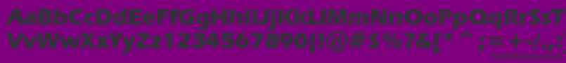 Police ErasBoldBt – polices noires sur fond violet