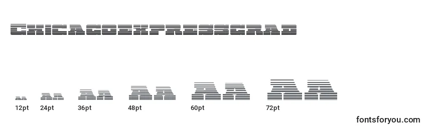 Chicagoexpressgrad Font Sizes