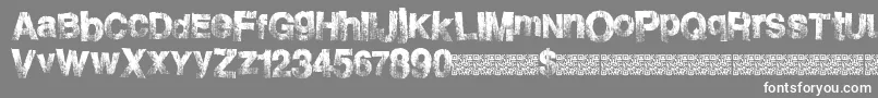 Burnside Font – White Fonts on Gray Background