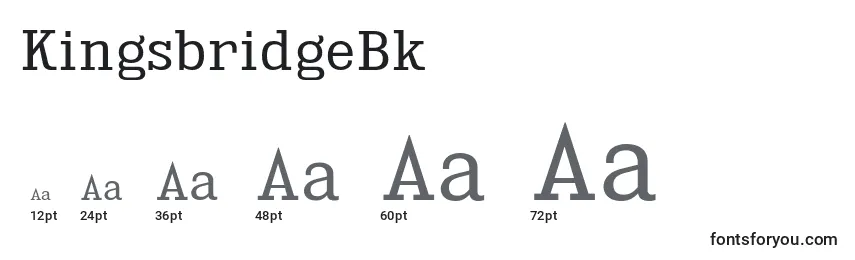 Размеры шрифта KingsbridgeBk