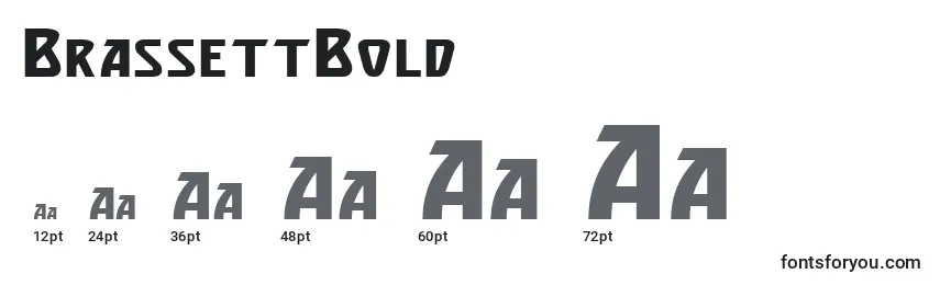 Размеры шрифта BrassettBold