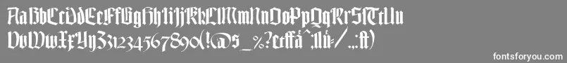 TexturgotischLtDfr Font – White Fonts on Gray Background