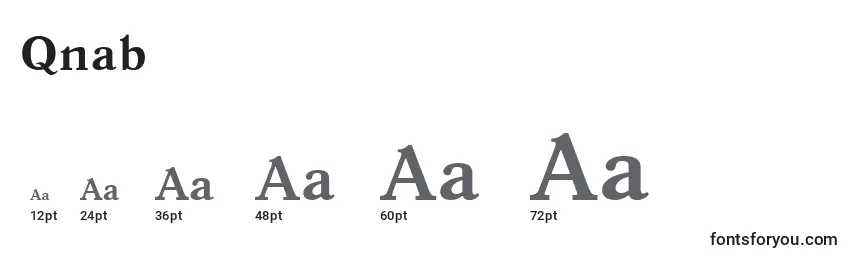 Размеры шрифта Qnab