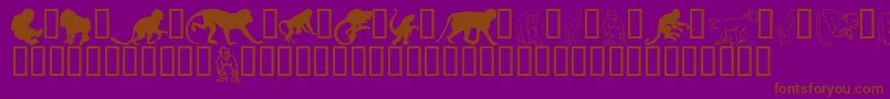 Monkeysdc Font – Brown Fonts on Purple Background