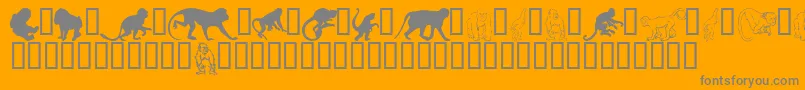 Czcionka Monkeysdc – szare czcionki na pomarańczowym tle