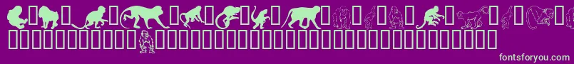 Monkeysdc Font – Green Fonts on Purple Background