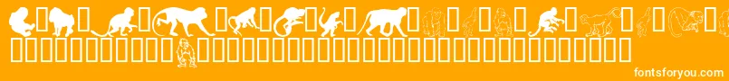 Monkeysdc Font – White Fonts on Orange Background