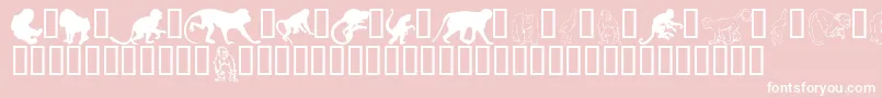 Monkeysdc Font – White Fonts on Pink Background