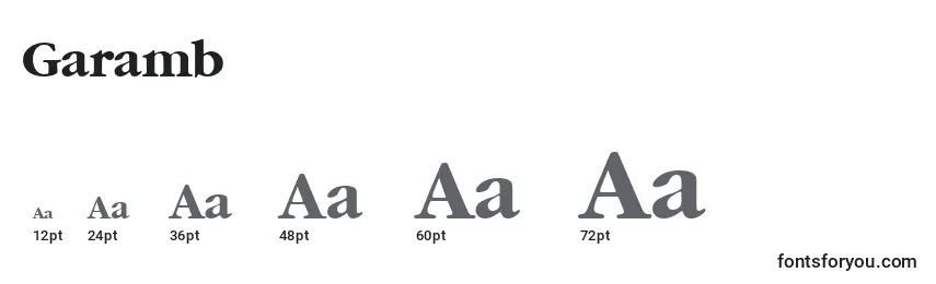 Размеры шрифта Garamb