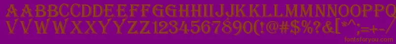 fuente Stupido – Fuentes Marrones Sobre Fondo Morado