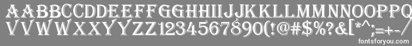 フォントStupido – 灰色の背景に白い文字