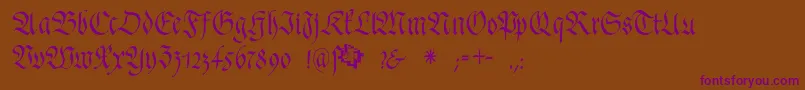 FrakturafonteriaSlim Font – Purple Fonts on Brown Background