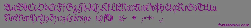 FrakturafonteriaSlim Font – Purple Fonts on Gray Background