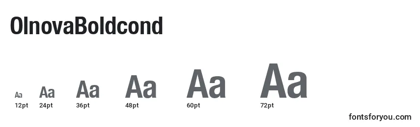 OlnovaBoldcond Font Sizes