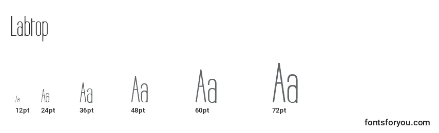 Labtop Font Sizes