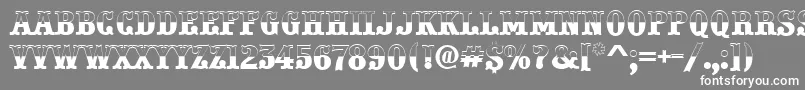 APresentumbw Font – White Fonts on Gray Background