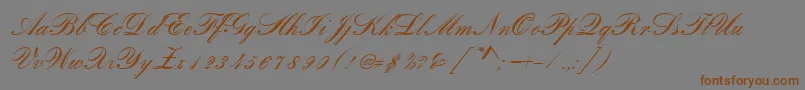 フォントRomanticaScript – 茶色の文字が灰色の背景にあります。