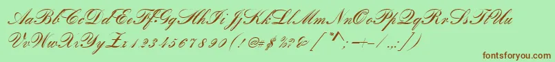 RomanticaScript Font – Brown Fonts on Green Background