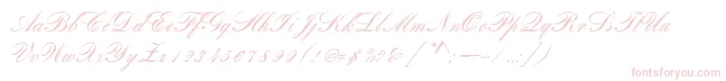 RomanticaScript Font – Pink Fonts on White Background