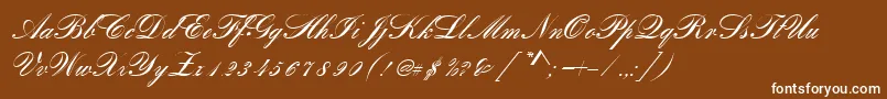 RomanticaScript Font – White Fonts on Brown Background