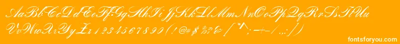 RomanticaScript Font – White Fonts on Orange Background