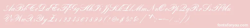 RomanticaScript Font – White Fonts on Pink Background