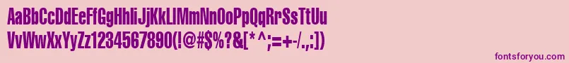 Cyrilliccompressed75 Font – Purple Fonts on Pink Background