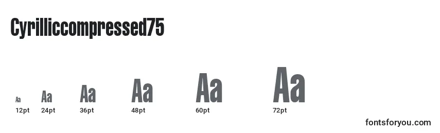 Cyrilliccompressed75 Font Sizes
