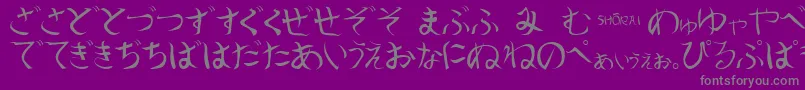 Weitere Informationen zur ShoraiRegular-Schriftart ShoraiRegular-Schriftart – Graue Schriften auf violettem Hintergrund