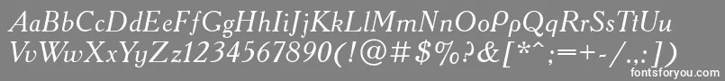 AcademycttItalic-fontti – valkoiset fontit harmaalla taustalla