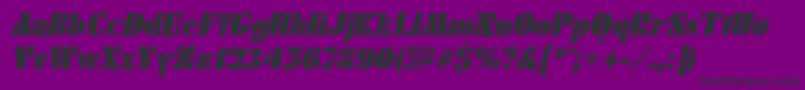 FuturistblackItalic Font – Black Fonts on Purple Background