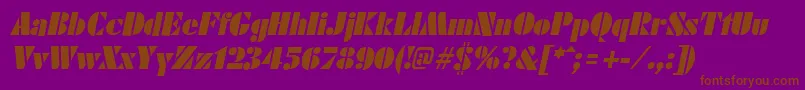 FuturistblackItalic Font – Brown Fonts on Purple Background