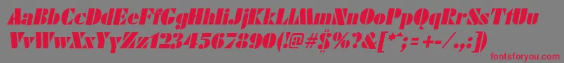 FuturistblackItalic Font – Red Fonts on Gray Background