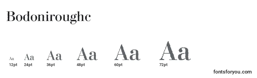 Размеры шрифта Bodoniroughc