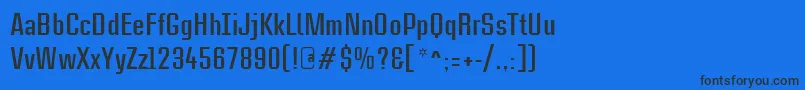 CasestudynooneLtBold Font – Black Fonts on Blue Background