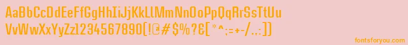 CasestudynooneLtBold Font – Orange Fonts on Pink Background