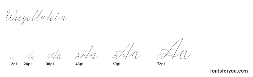 Wiegellatein Font Sizes
