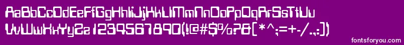 ComputerRegular Font – White Fonts on Purple Background