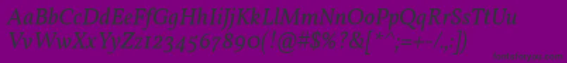 VollkornItalic Font – Black Fonts on Purple Background