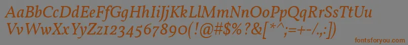 Шрифт VollkornItalic – коричневые шрифты на сером фоне