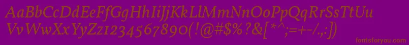 VollkornItalic Font – Brown Fonts on Purple Background