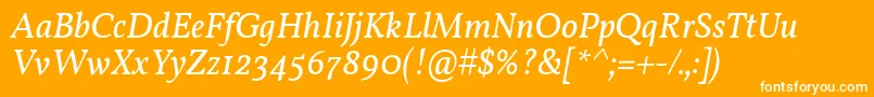 フォントVollkornItalic – オレンジの背景に白い文字