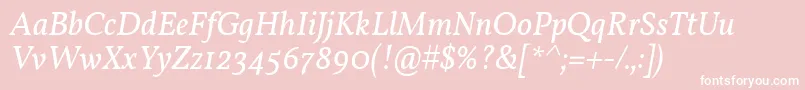 フォントVollkornItalic – ピンクの背景に白い文字