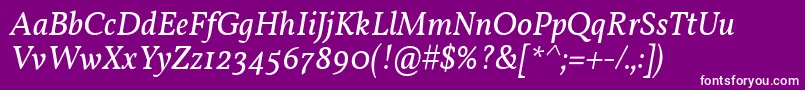 VollkornItalic-fontti – valkoiset fontit violetilla taustalla