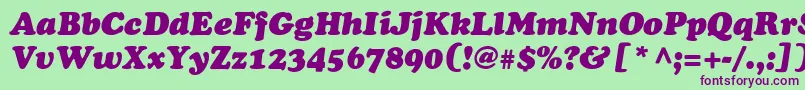 CooperItalicItalic Font – Purple Fonts on Green Background