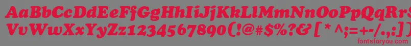 CooperItalicItalic Font – Red Fonts on Gray Background