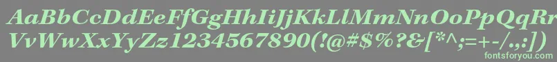 KeplerstdBoldextit Font – Green Fonts on Gray Background